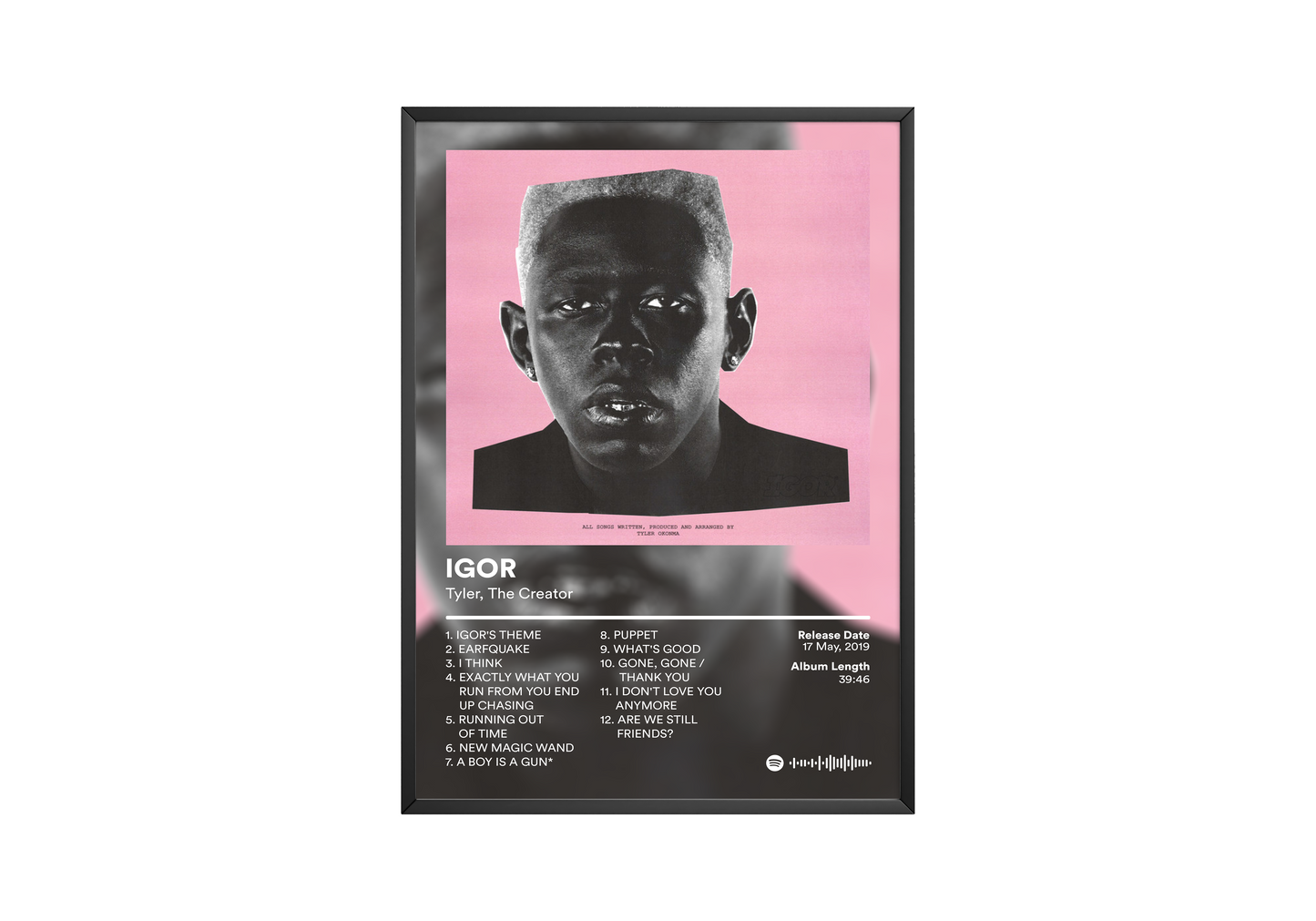 Tyler The Creator 'IGOR' Album Poster