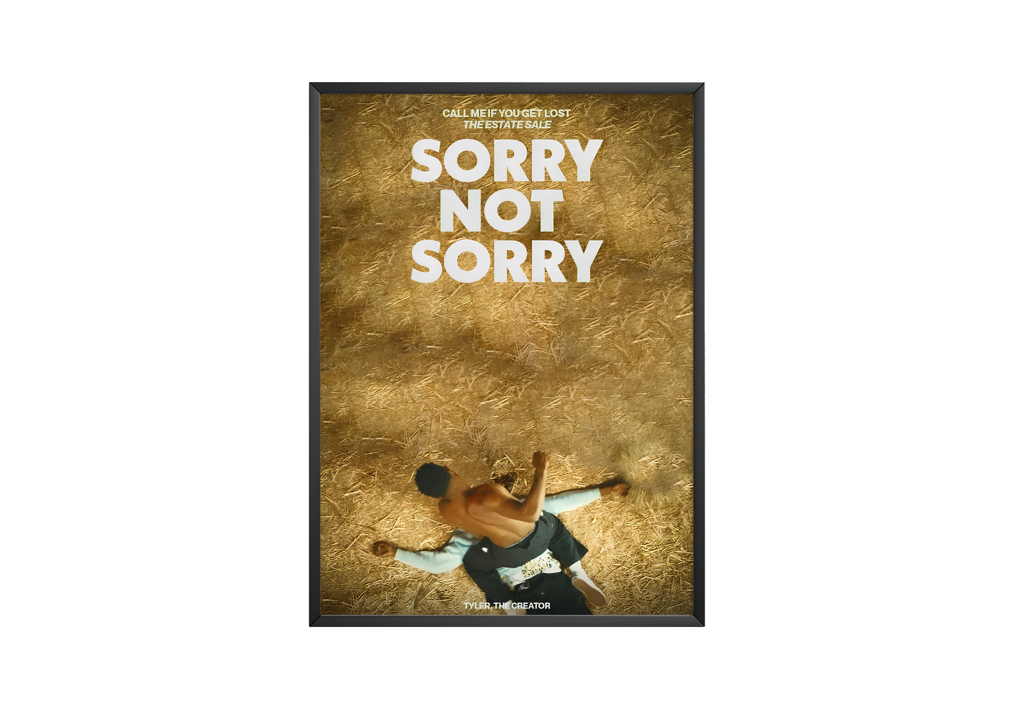 Tyler The Creator 'Sorry Not Sorry' Poster